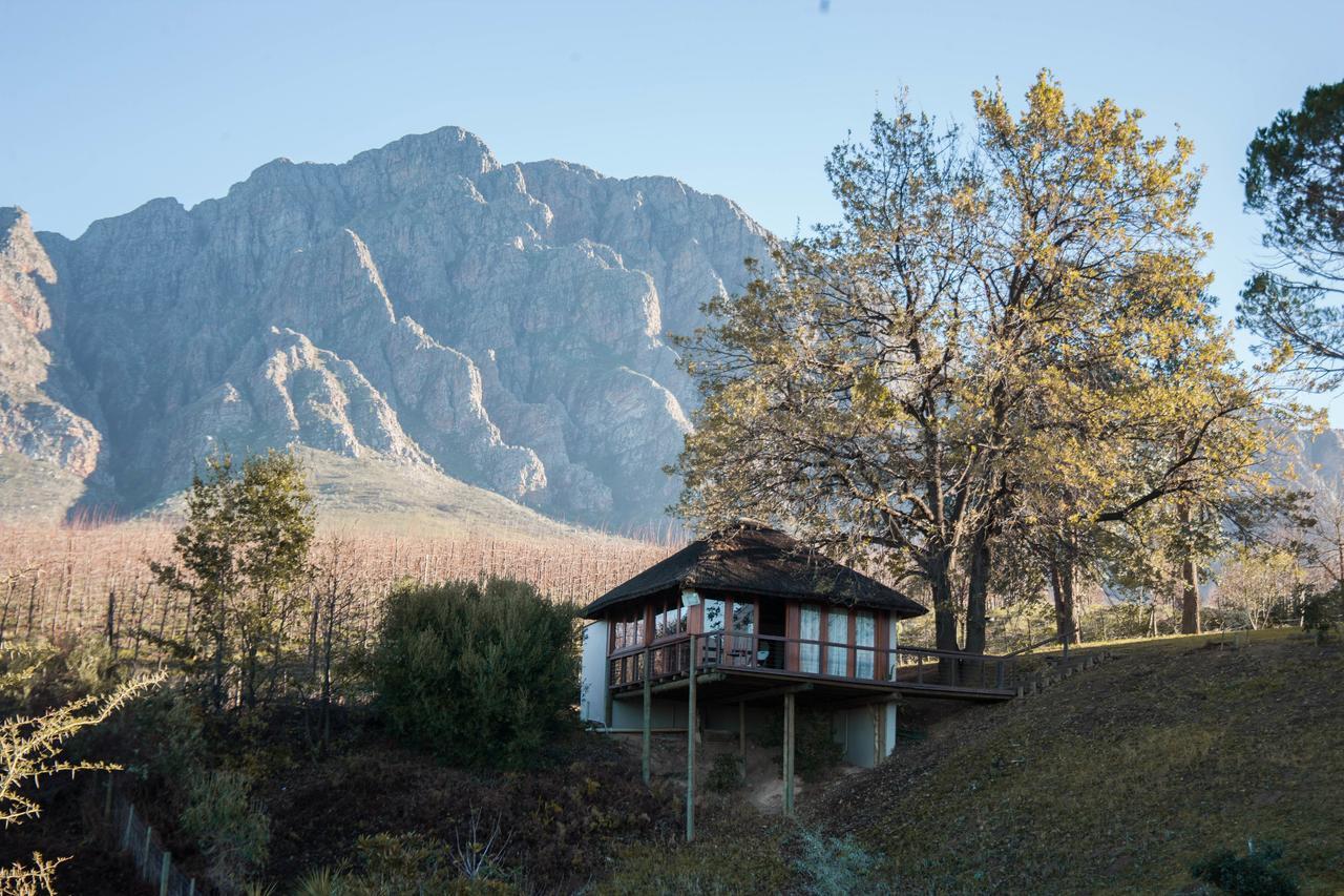 케이프타운 Tulbagh Mountain Manor 게스트하우스 외부 사진