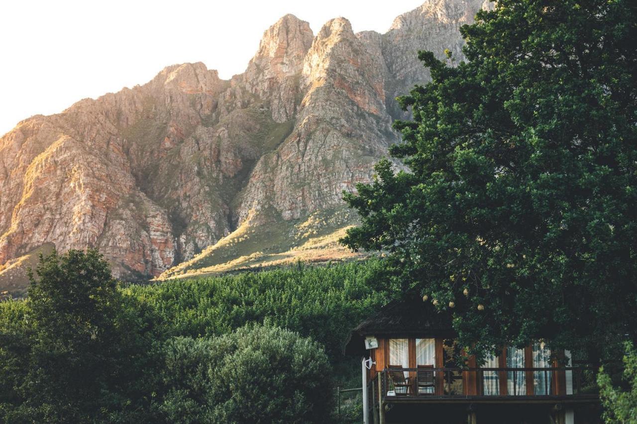 케이프타운 Tulbagh Mountain Manor 게스트하우스 외부 사진